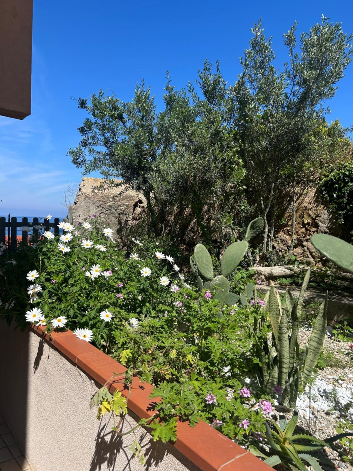 Arcobaleno Tropea Centro Bed & Breakfast ภายนอก รูปภาพ